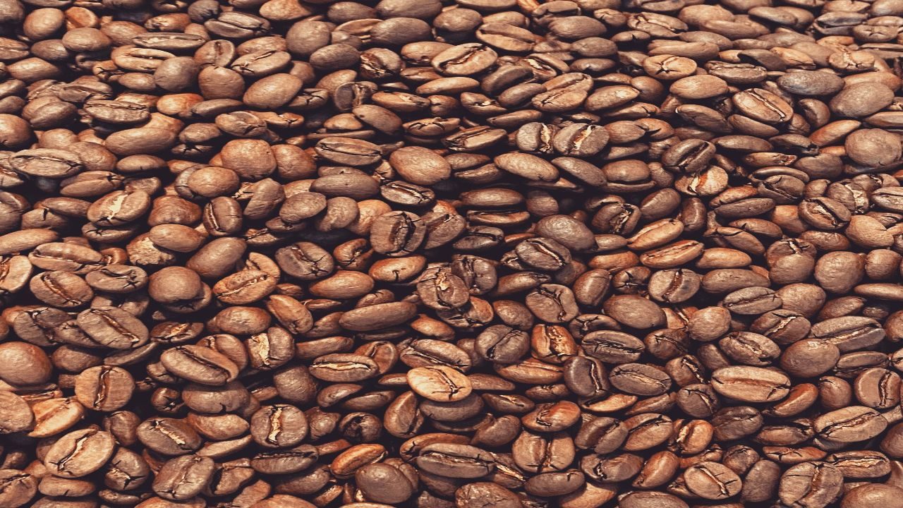 Coffee Lovers Rejoice