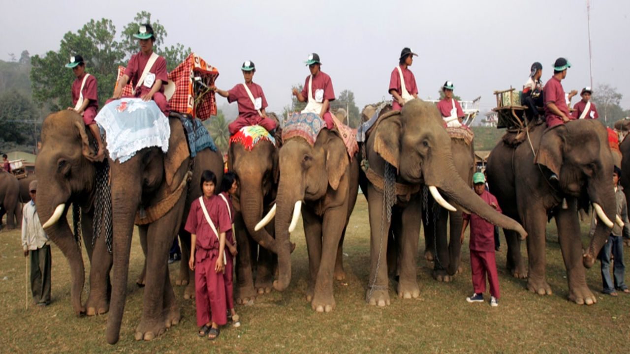 The Land of a Million Elephants