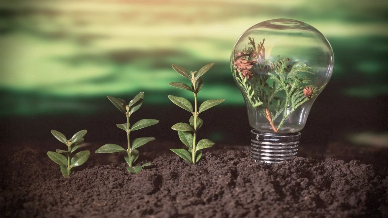 Eco-Conscious Living Leads the Way